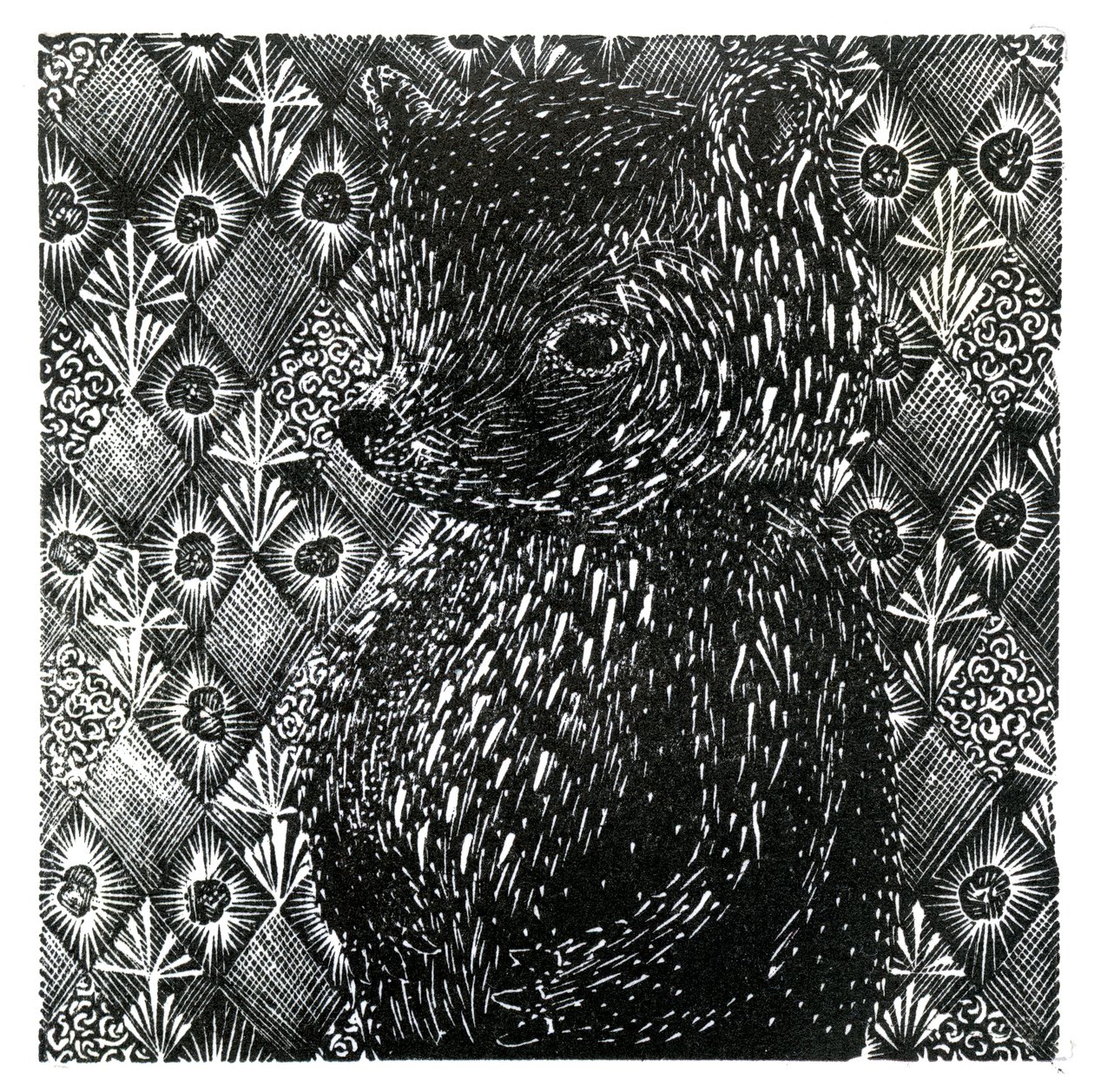 Ursus arctos ssp. domesticus, 2013 (trægravering på papir) af Bella Larsson