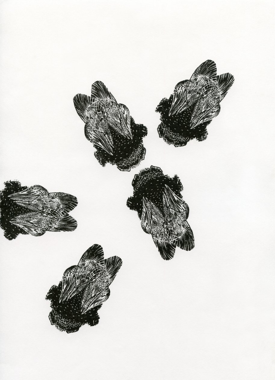 Humlebiernes møde, 2013 (trægravering på papir) af Bella Larsson