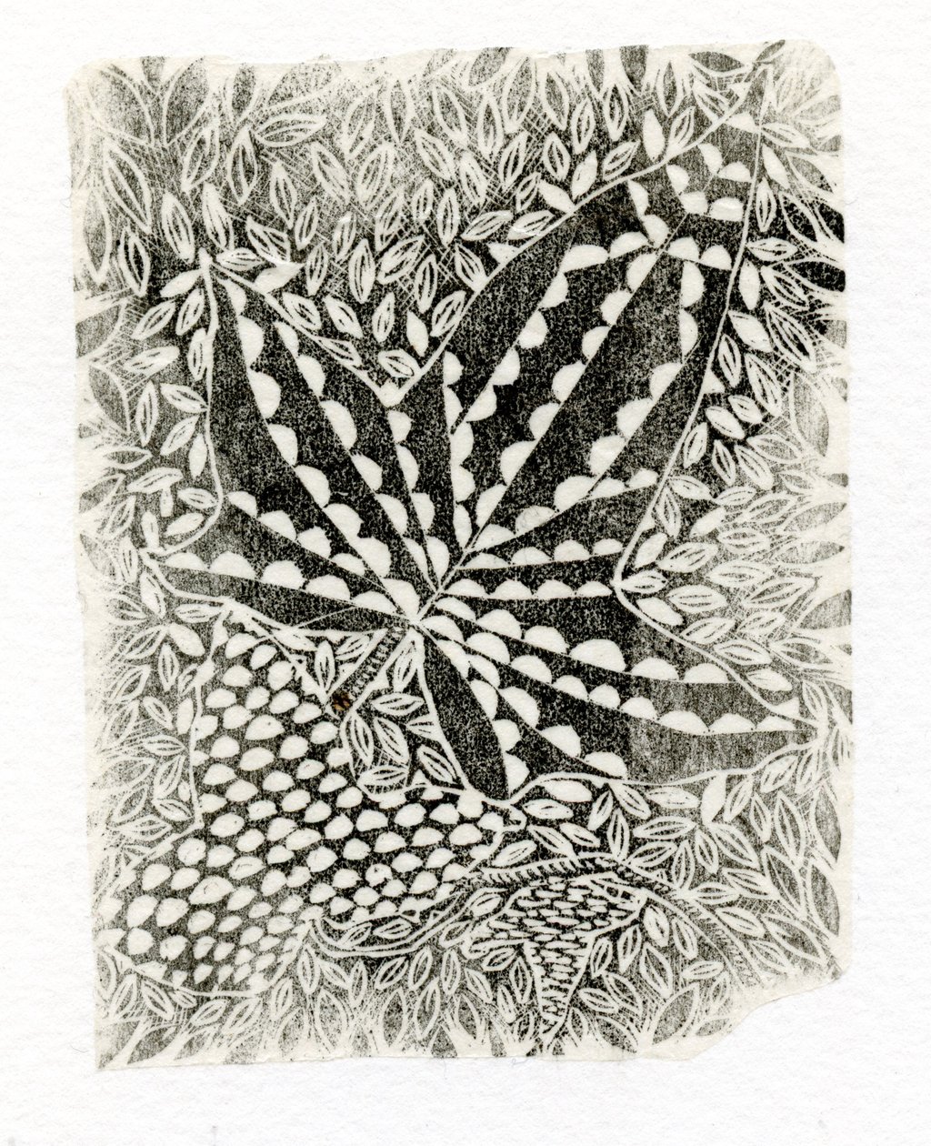 Ivy, 2014, (trægravering på papir) af Bella Larsson