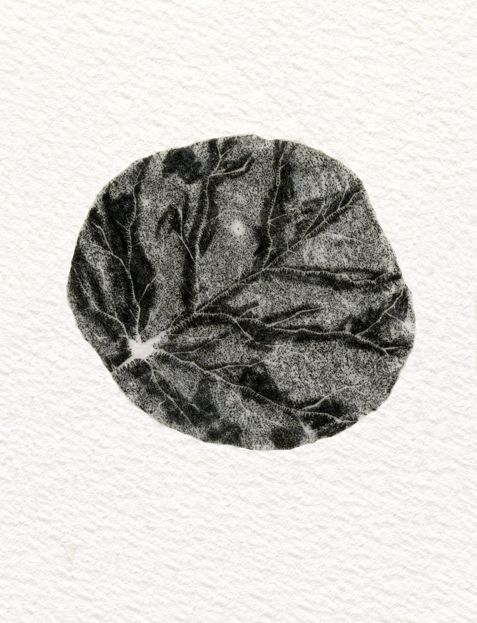 Leaf, 2014, (trægravering på papir) af Bella Larsson