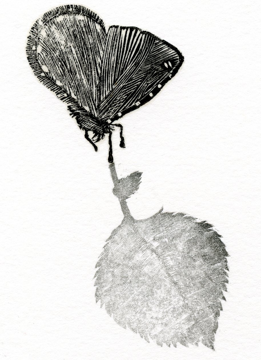 Suspense, 2014 (Trægravering, collage på papir) af Bella Larsson