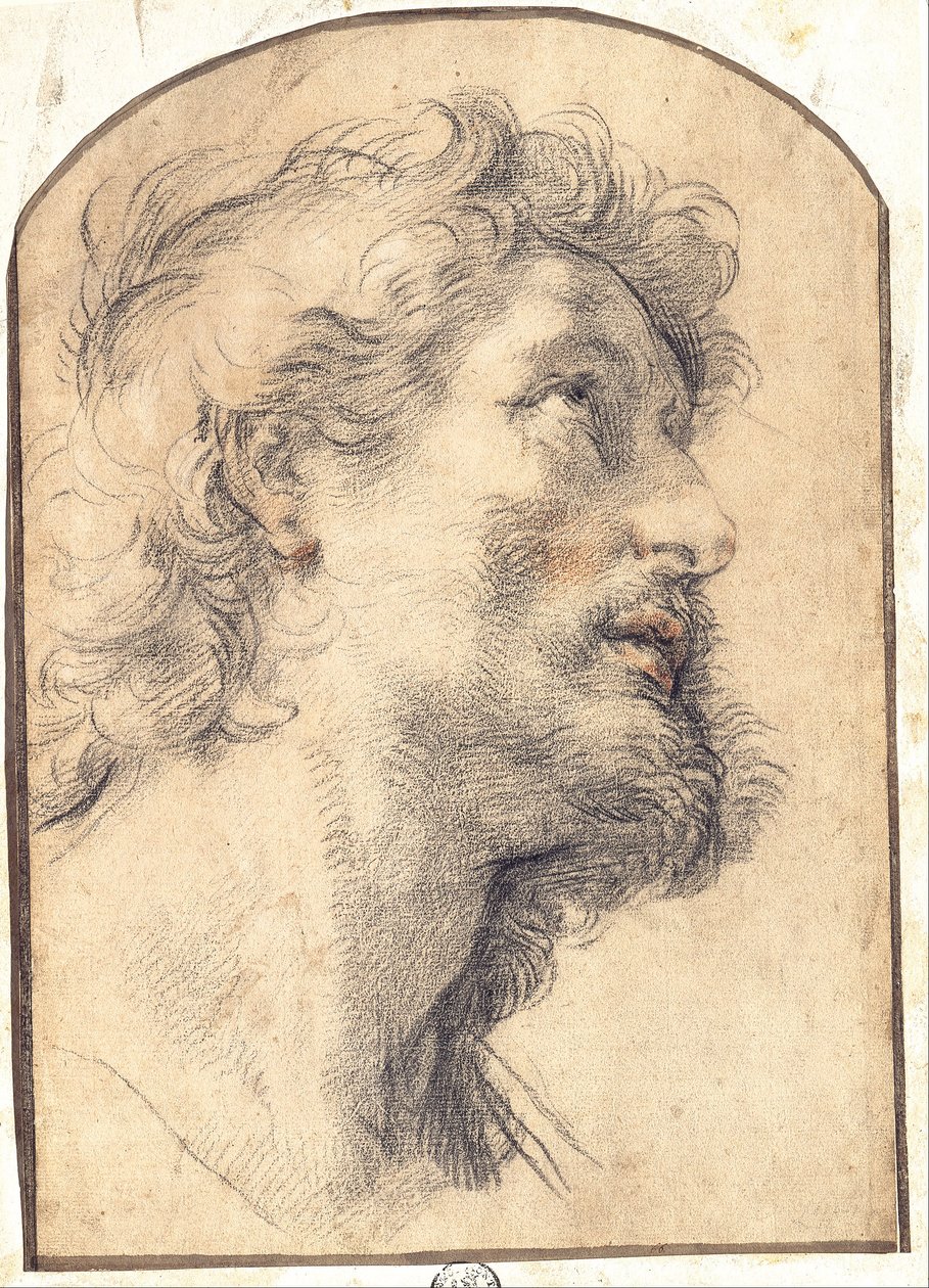 Studie af chefen for Saint Crispin af Benedetto Luti