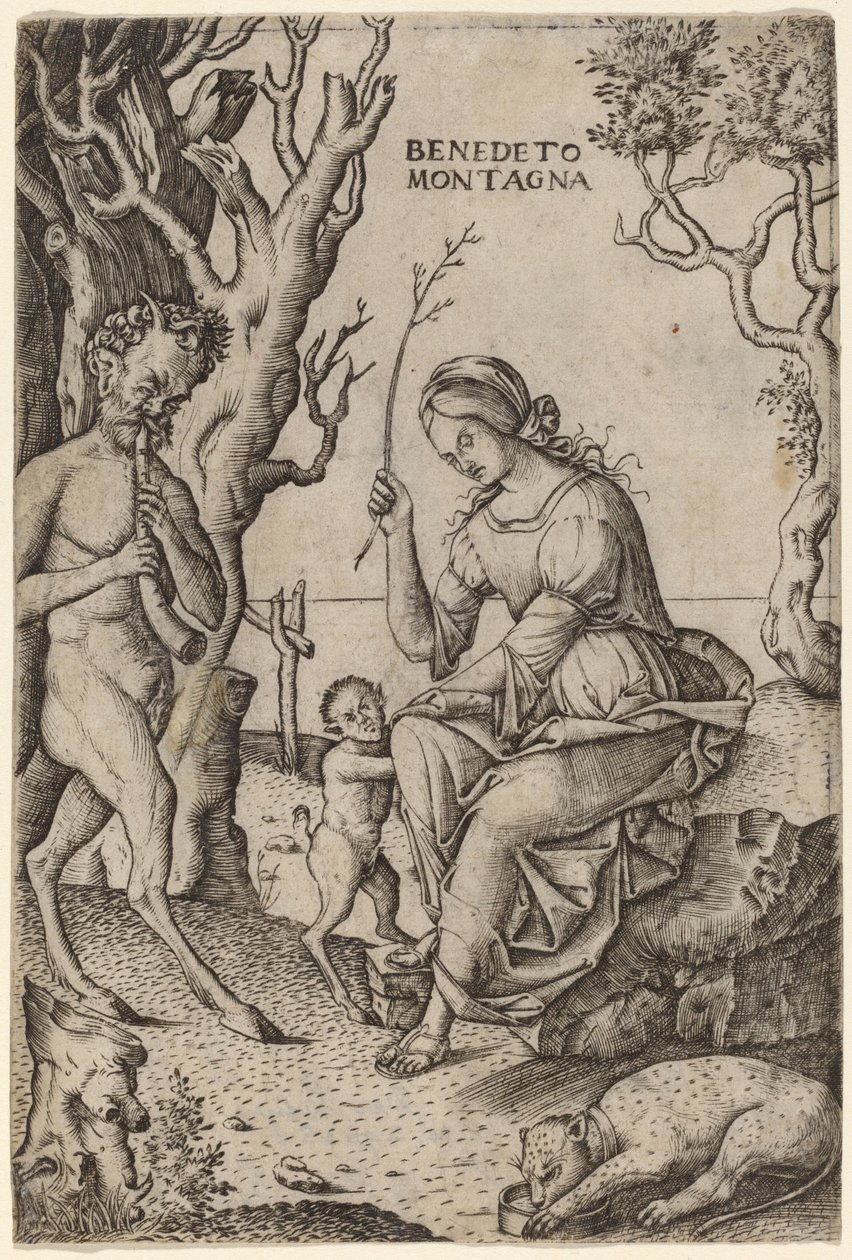 Satyr Familie af Benedetto Montagna