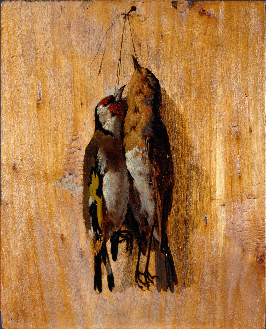 Studie af efter naturen To døde fuglenåle på væggen. Maleri af Benedetto Musso (1835-1883) 1864 omkring søn. 20,5x16,5 cm gener, Galleria d