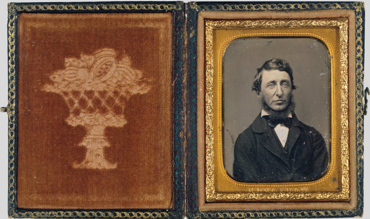 Henry David Thoreau af Benjamin D. Maxham
