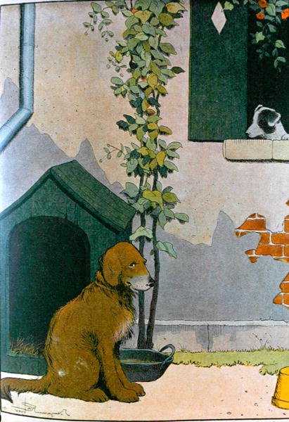 Hund, illustration fra 