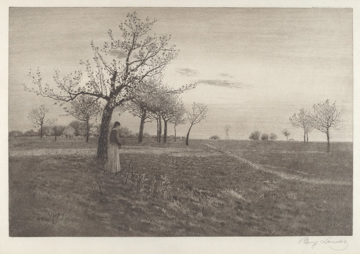 Efterglød af Benjamin Lander