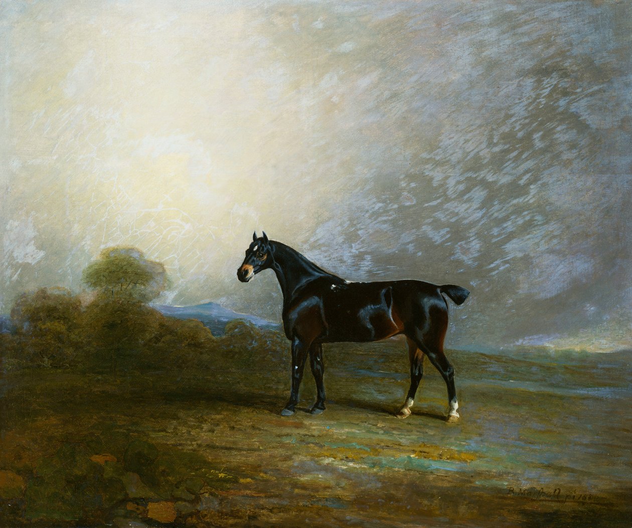 Bembo, en favoritjæger af Charles Shuttleworth, Esq., 1802 af Benjamin Marshall