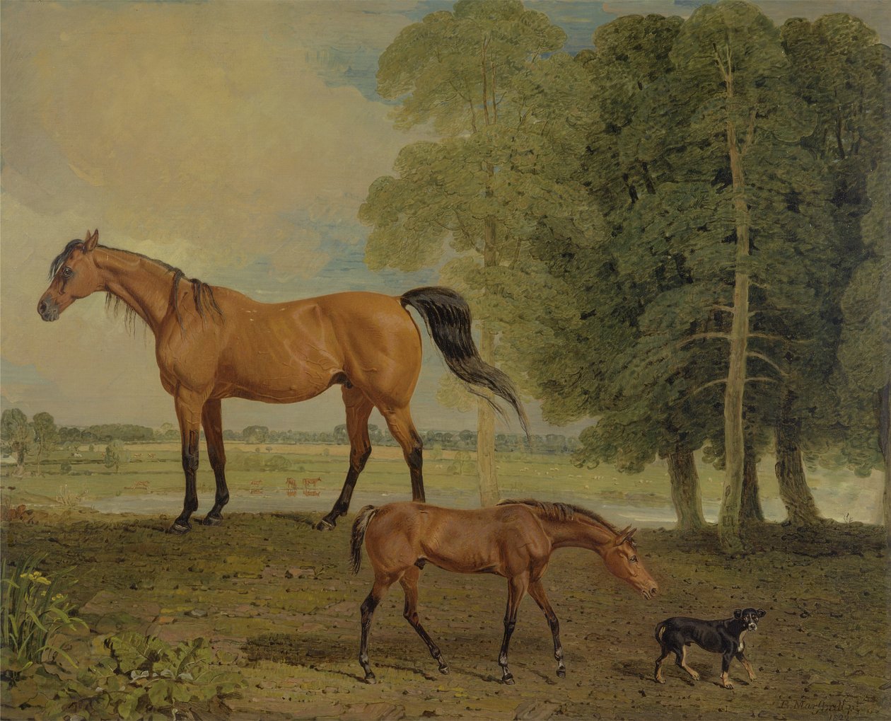 Hoppe med føl og terrier (olie på lærred) af Benjamin Marshall