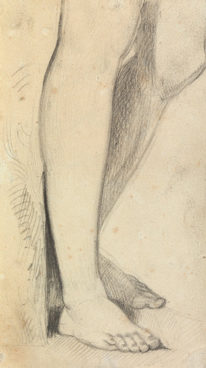 Figurstudie af ben af Benjamin Robert Haydon