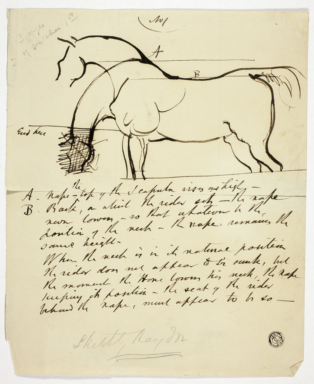 Skitse af hest med notationer af Benjamin Robert Haydon