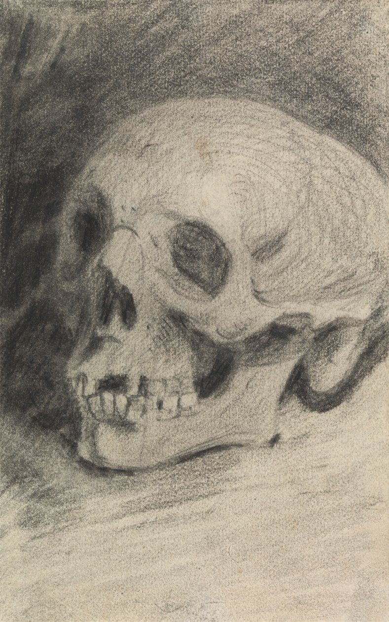 Studie af en kranie af Benjamin Robert Haydon