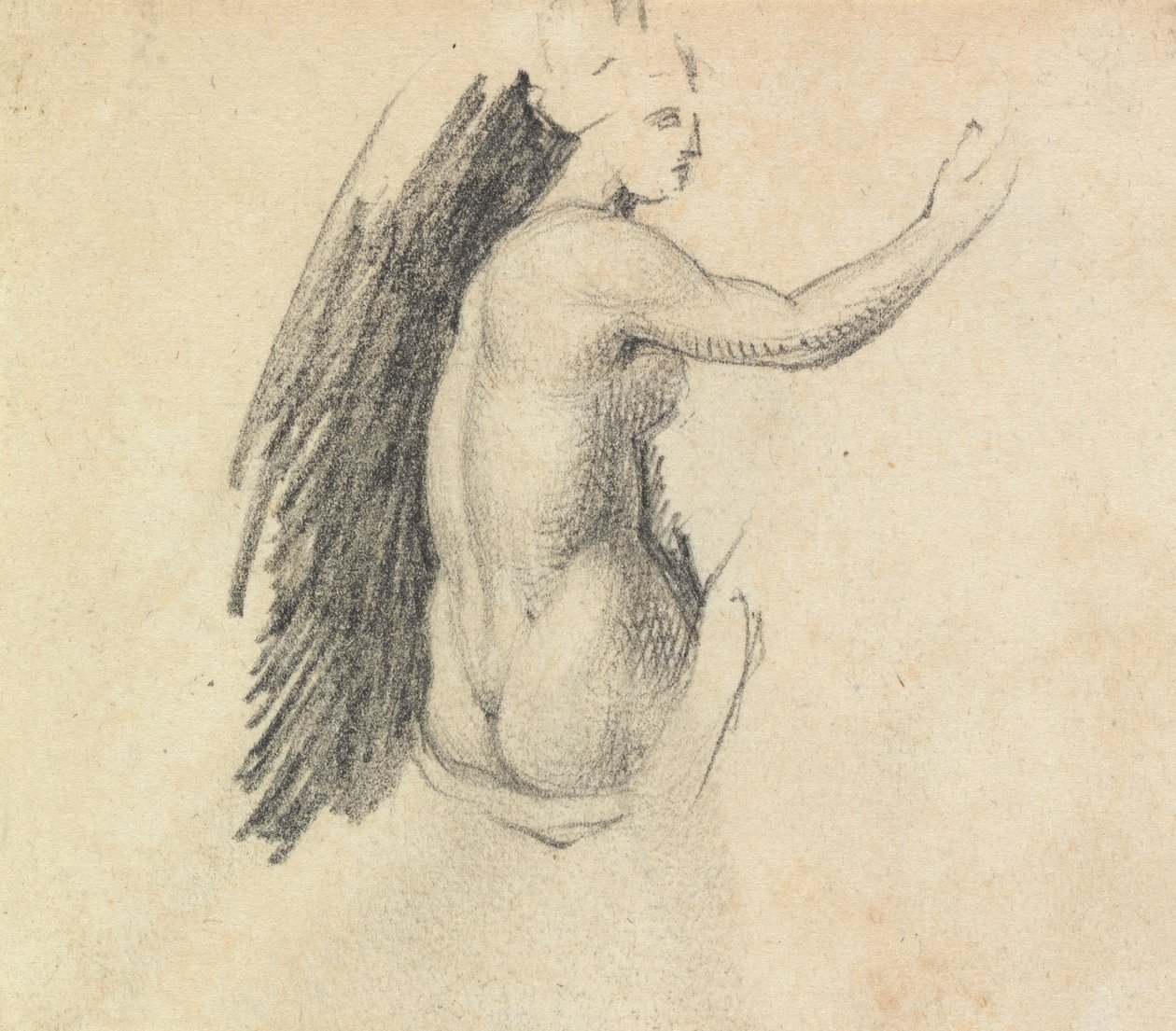 Studer bagsiden af en nøgen figur af Benjamin Robert Haydon