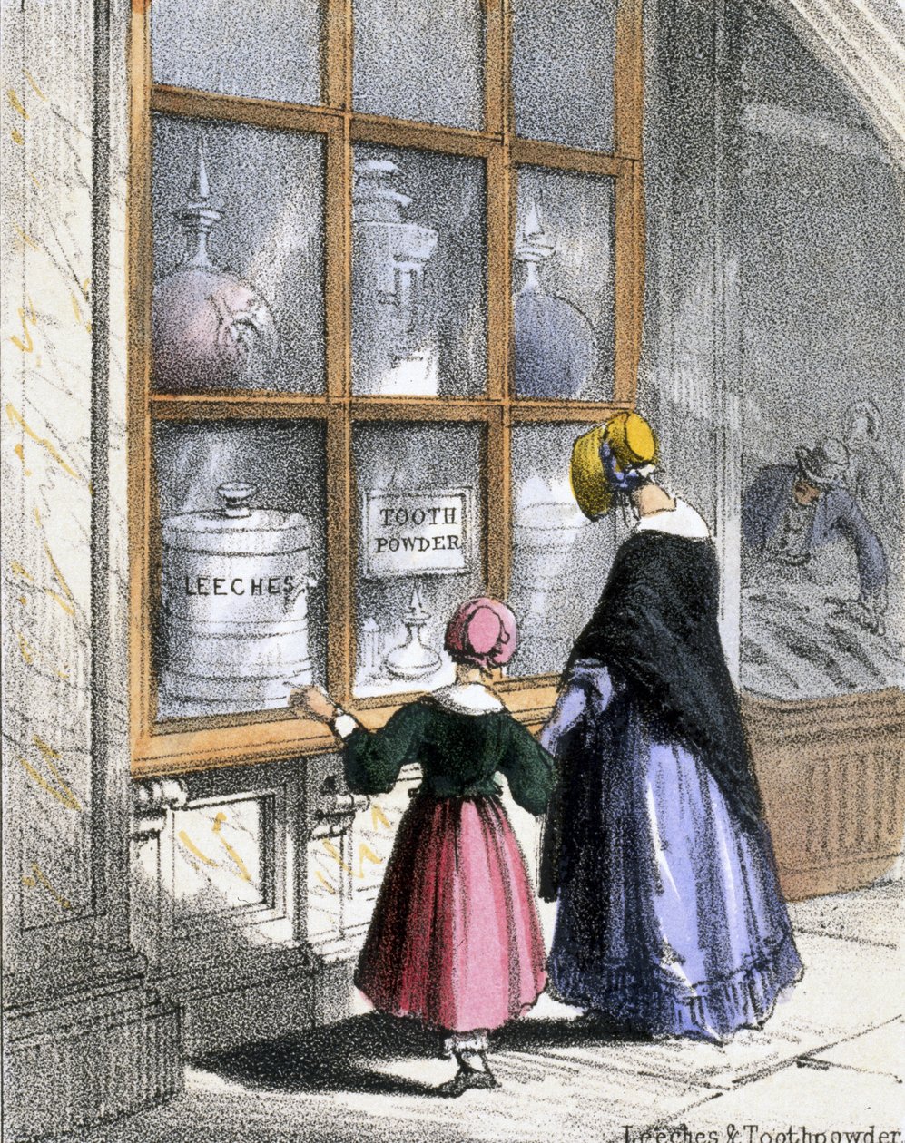 Igler og tandpulver, fra krebsdyr og krybdyr i grafiske illustrationer af dyr - viser deres nytteværdi for mennesket i deres beskæftigelse under liv og anvendelser efter døden, ca. 1845 af Benjamin Waterhouse Hawkins