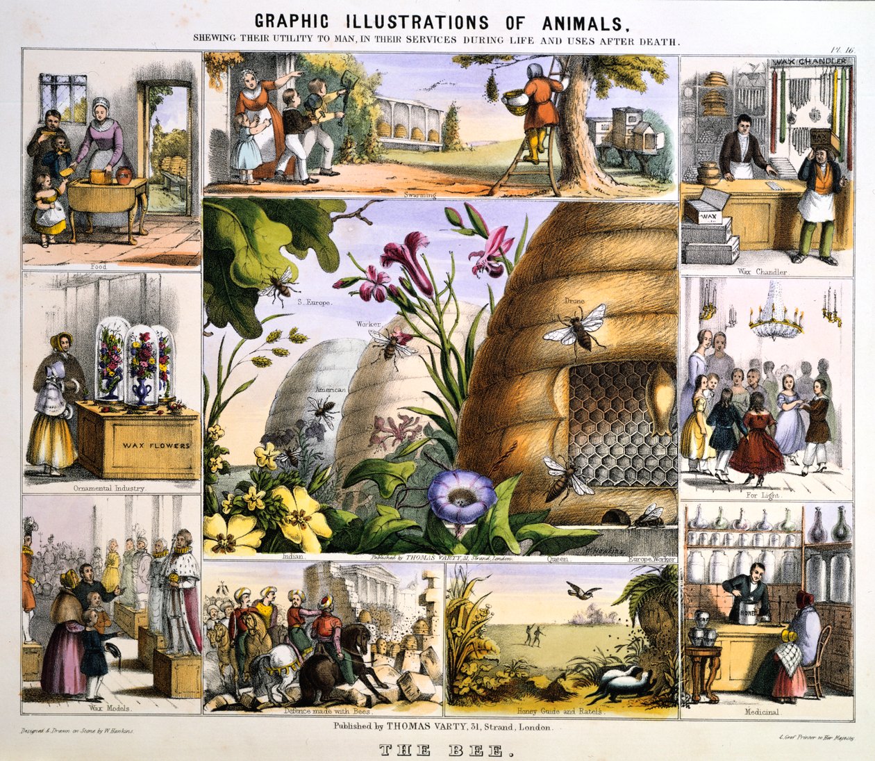 Bien, c1850 af Benjamin Waterhouse Hawkins