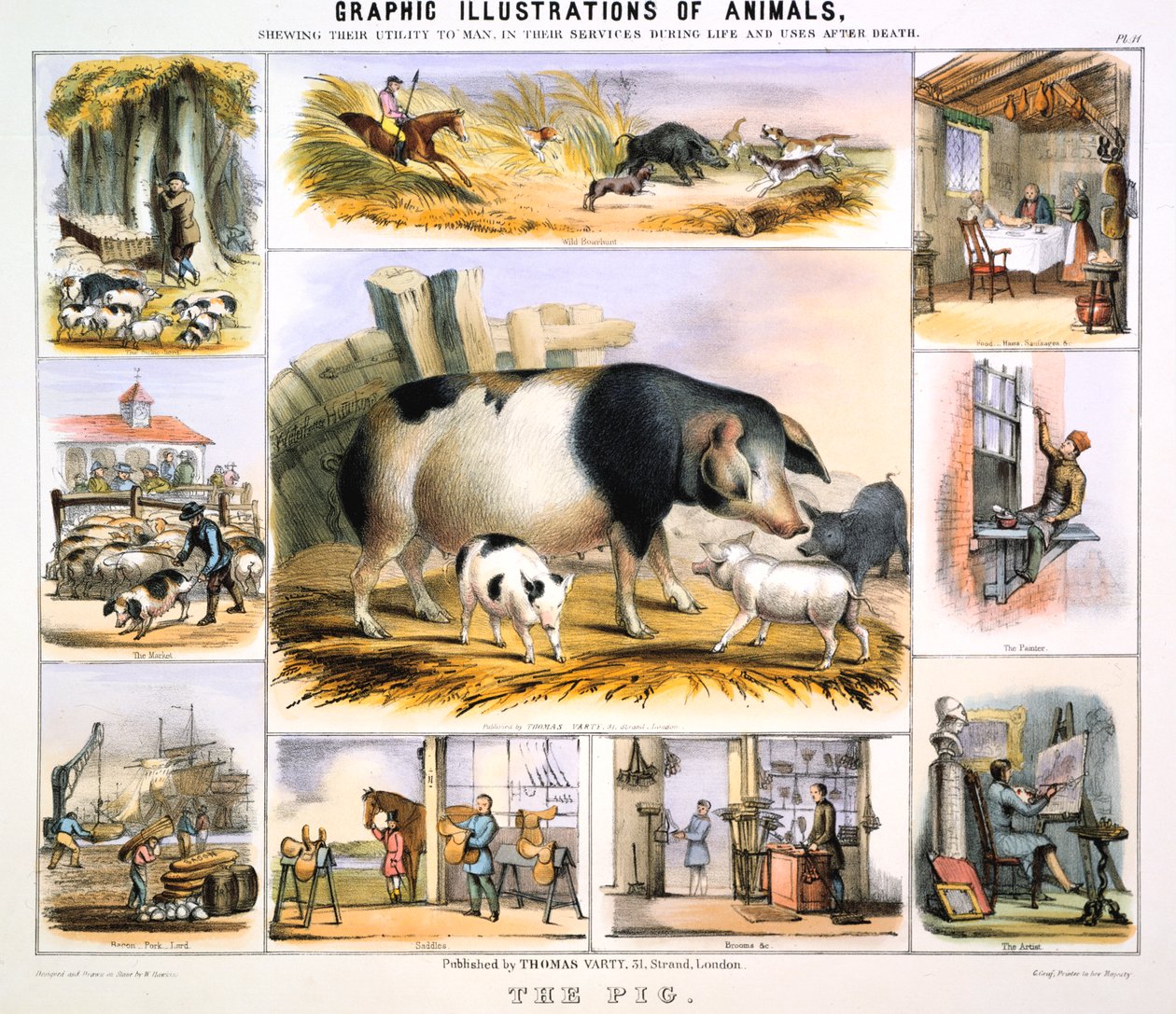 Grisen, c1850 af Benjamin Waterhouse Hawkins