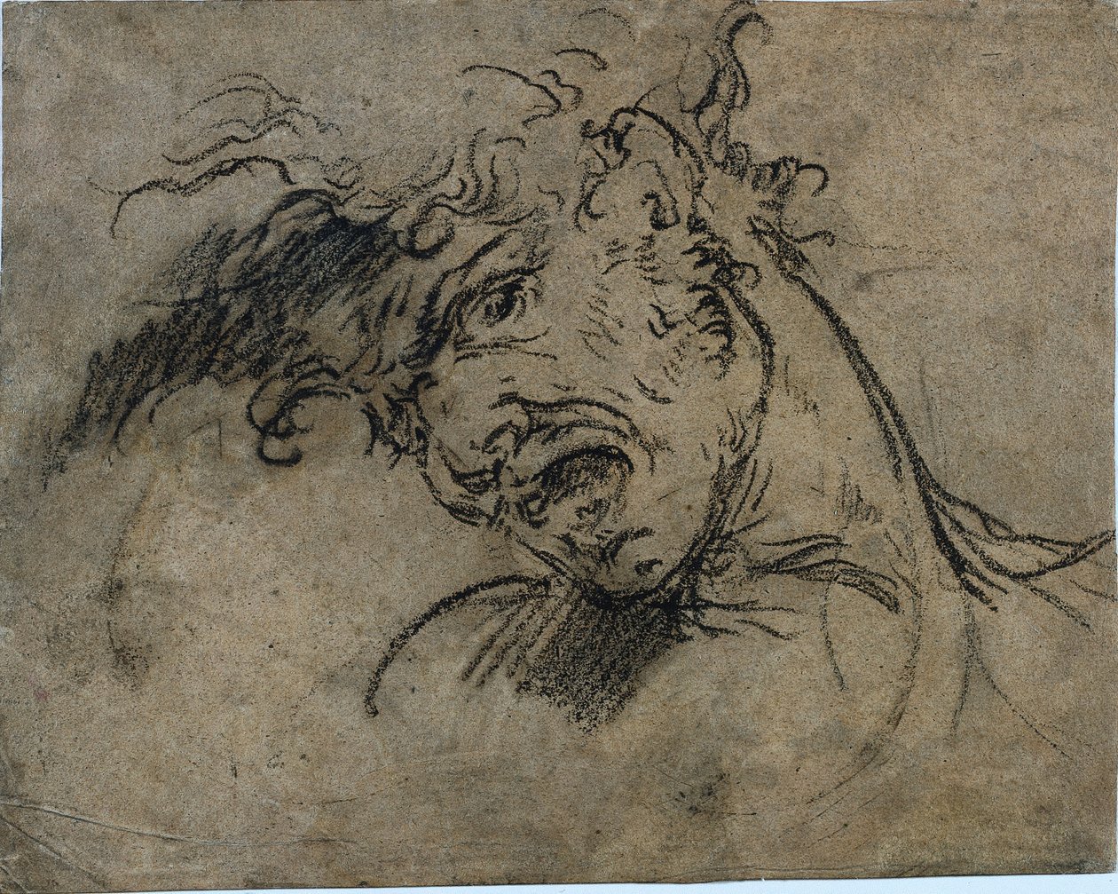Leder af en skrigende mand (recto) af Benjamin West