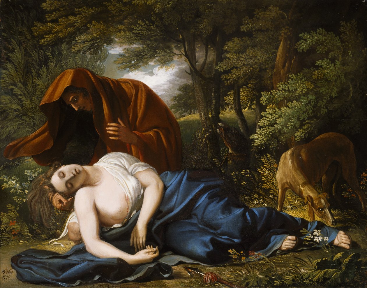Procris