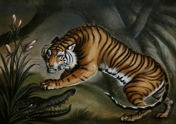Tiger og krokodille, ca. 1810 (sandbillede om bord) af Benjamin Zobel