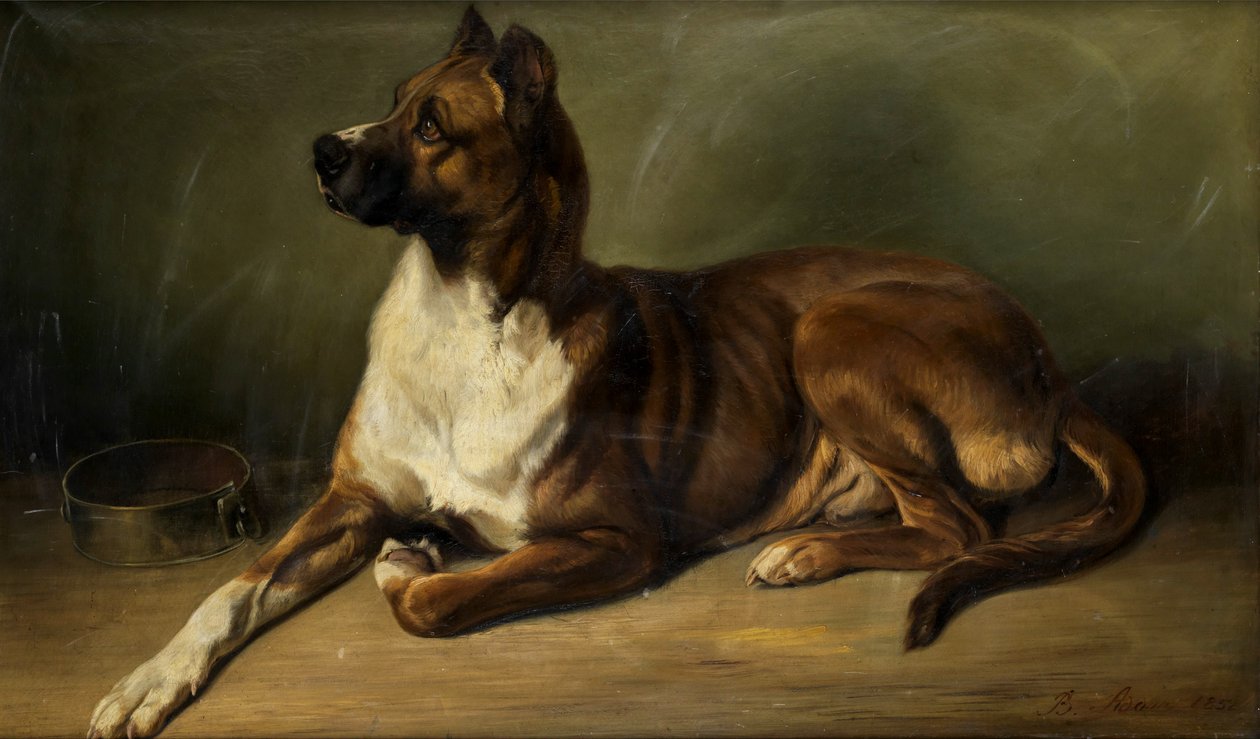 Benno Adam Portræt af en hund 1852 af Benno Adam