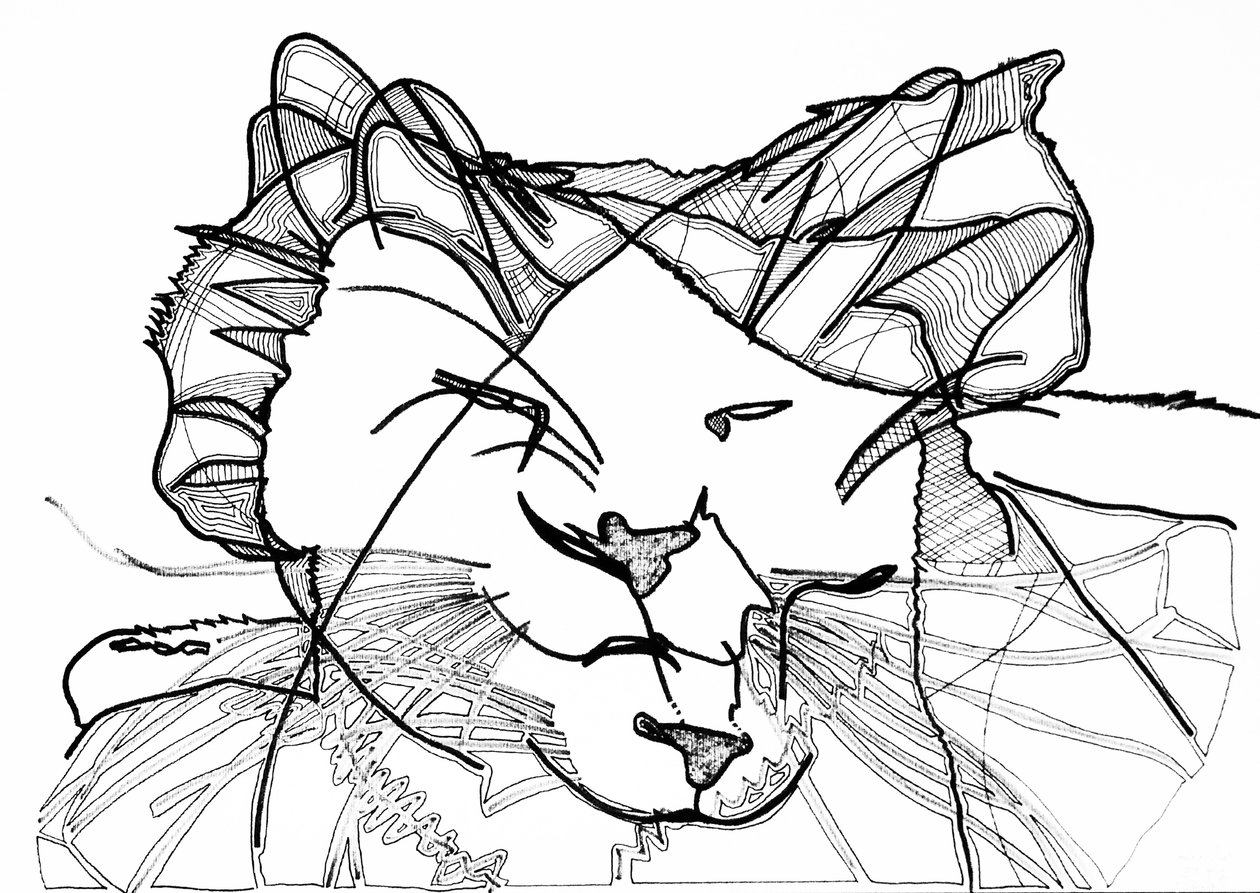 Double cat, 2019 (blæk på papir) af Benoit Erwann Boucherot