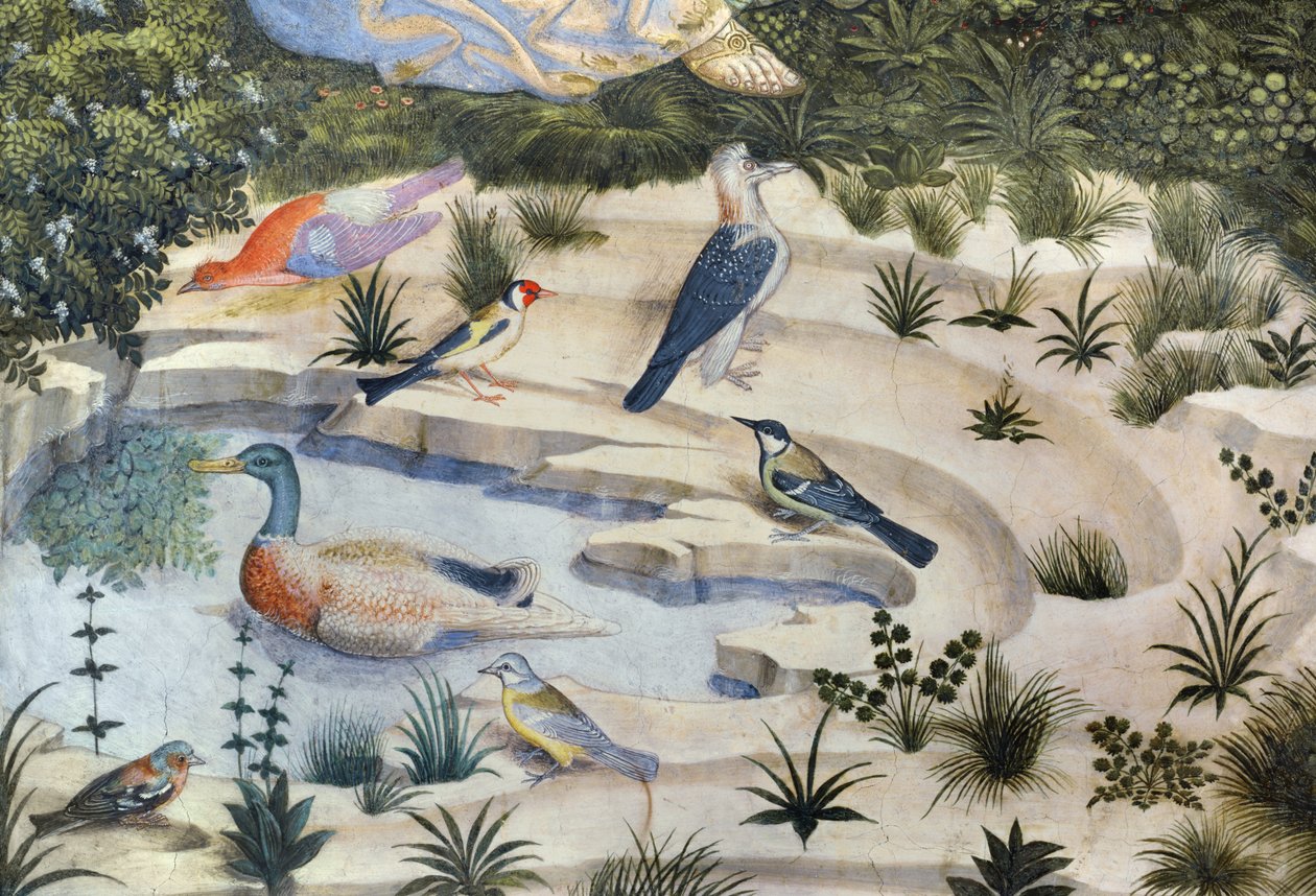 Fugle omkring en dam, detalje fra Magi-cyklussen i kapellet, ca. 1460 freskodetalje af 70610 af Benozzo di Lese di Sandro Gozzoli