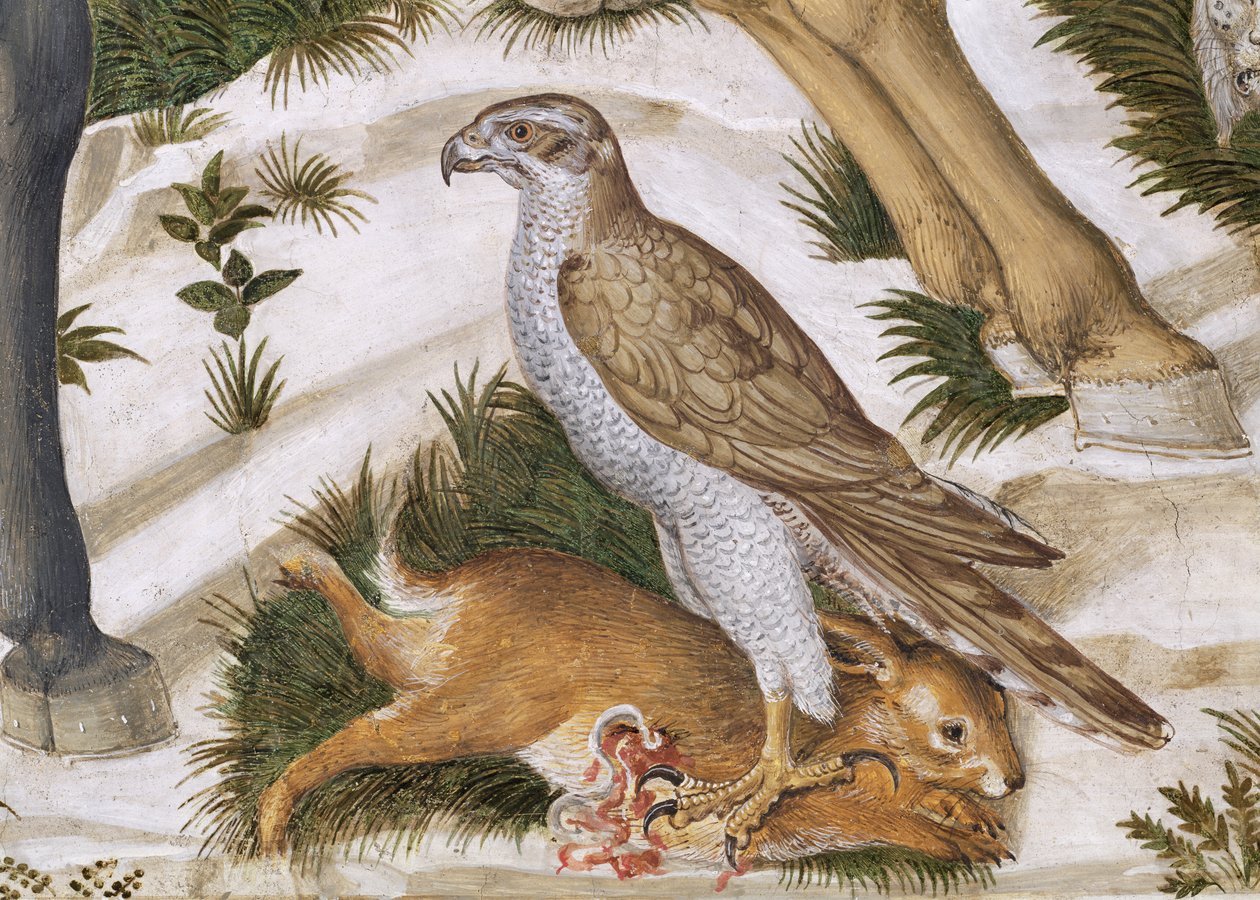Falk med fanget kanin, detalje fra Magi-cyklussens rejse i kapellet, ca. 1460 freskodetalje af 70601 af Benozzo di Lese di Sandro Gozzoli