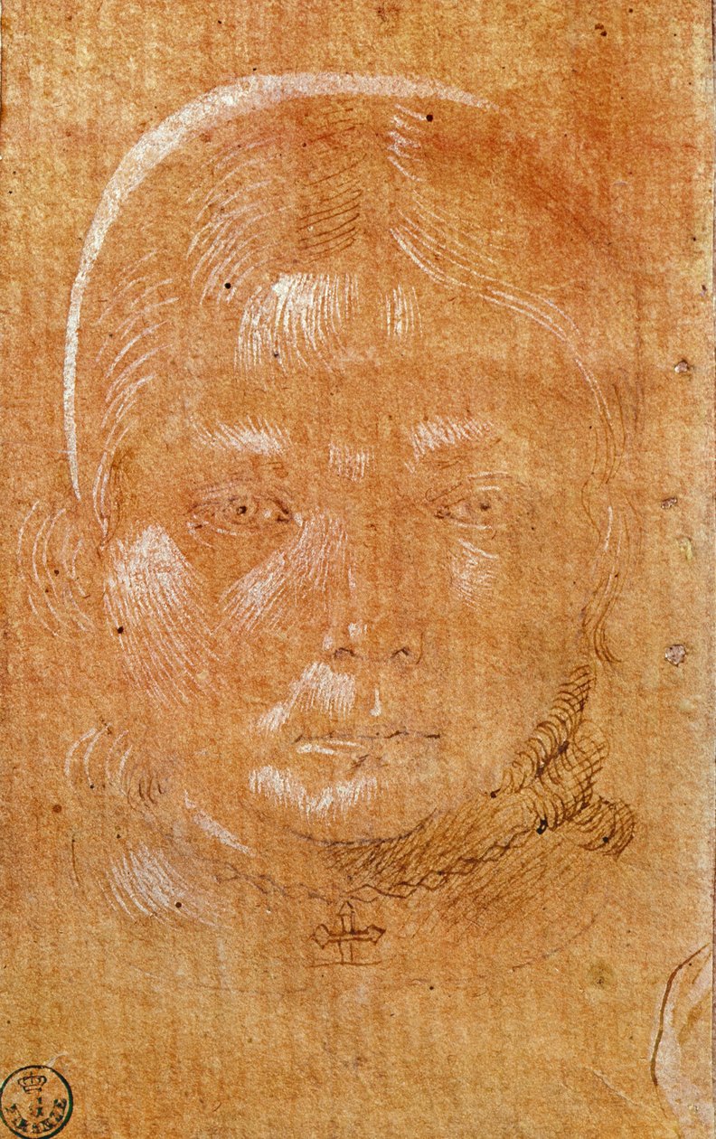 Hoved af en ung pige (kridt og blæk på papir) af Benozzo di Lese di Sandro Gozzoli