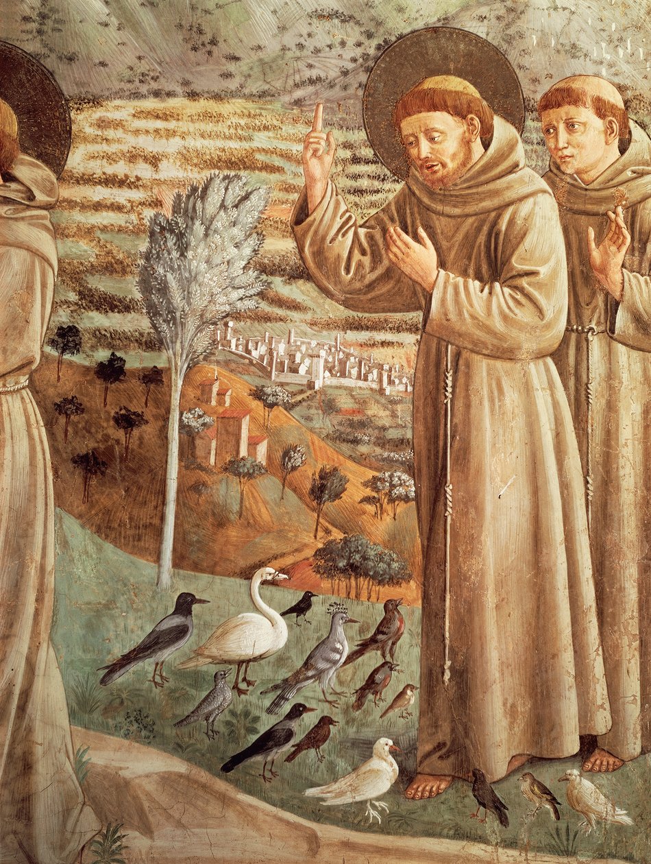 Historier fra livet af Sankt Frans, prædiker for fugle (1452), Freskomalericyklus af Benozzo Gozzoli (1421-1497), apsidal tribune, Sankt Frans Kirke, Montefalco, Umbrien, Italien af Benozzo di Lese di Sandro Gozzoli