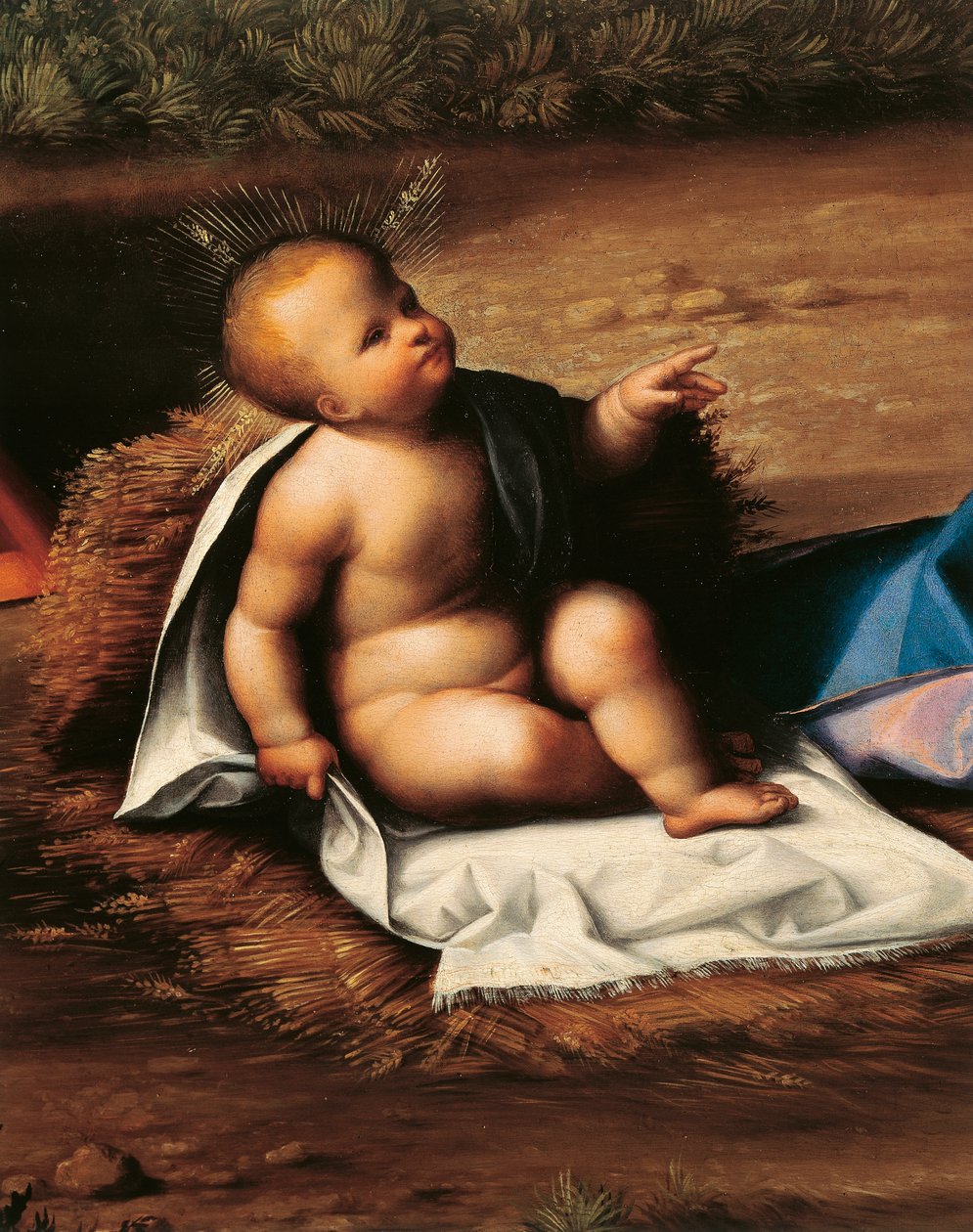 Baby Jesus, detalje fra Nativity af Garofalo (1481-1559) af Benvenuto Tisi da Garofalo