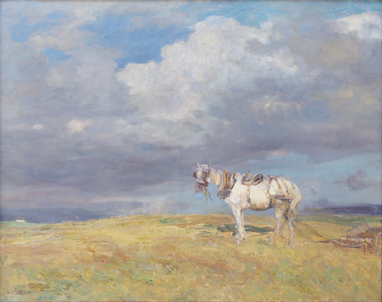 Hvid hest, ca. 1910 (olie på lærred) af Beppe Ciardi