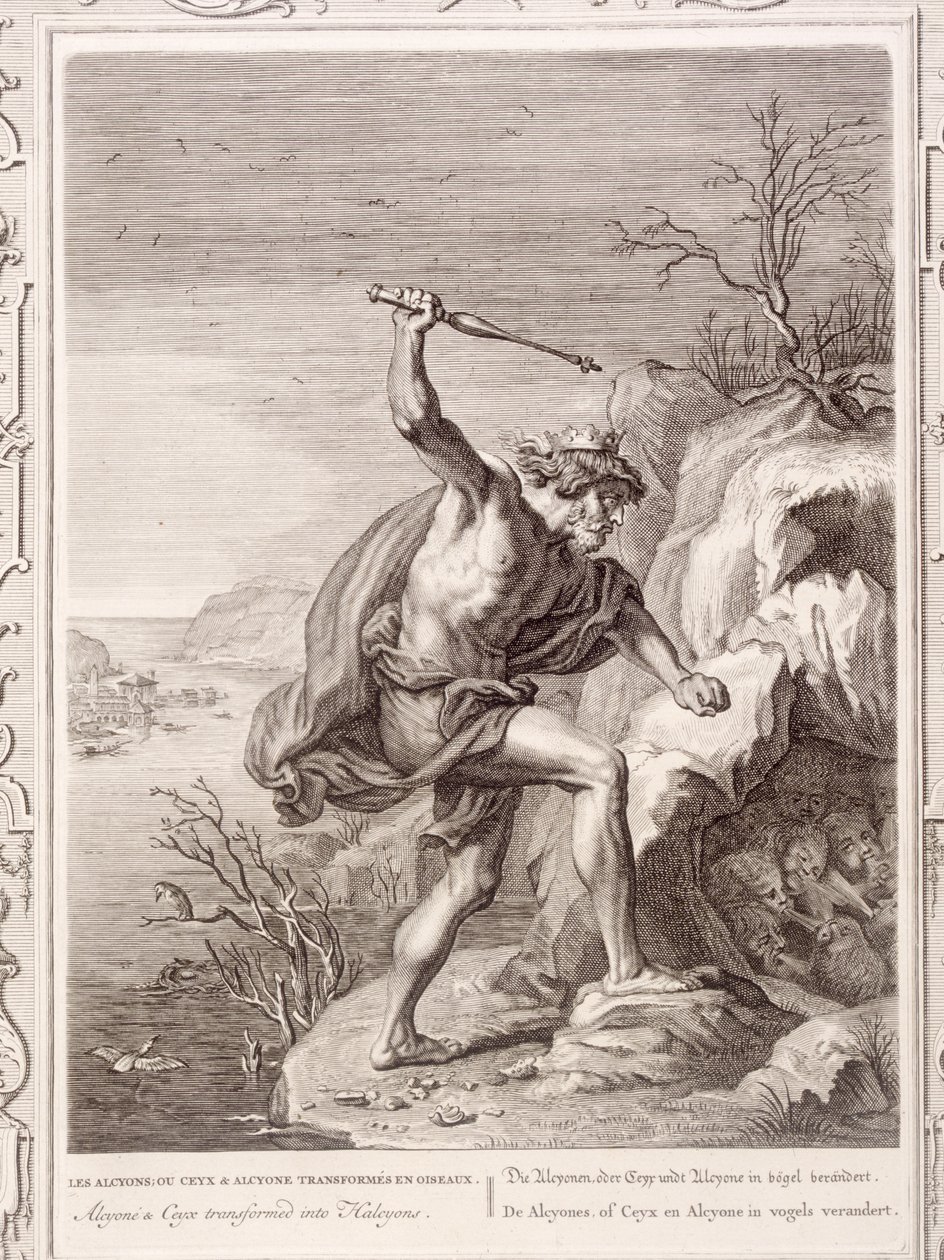 Alcyone og Ceux forvandlet til fugle, 1730 af Bernard Picart