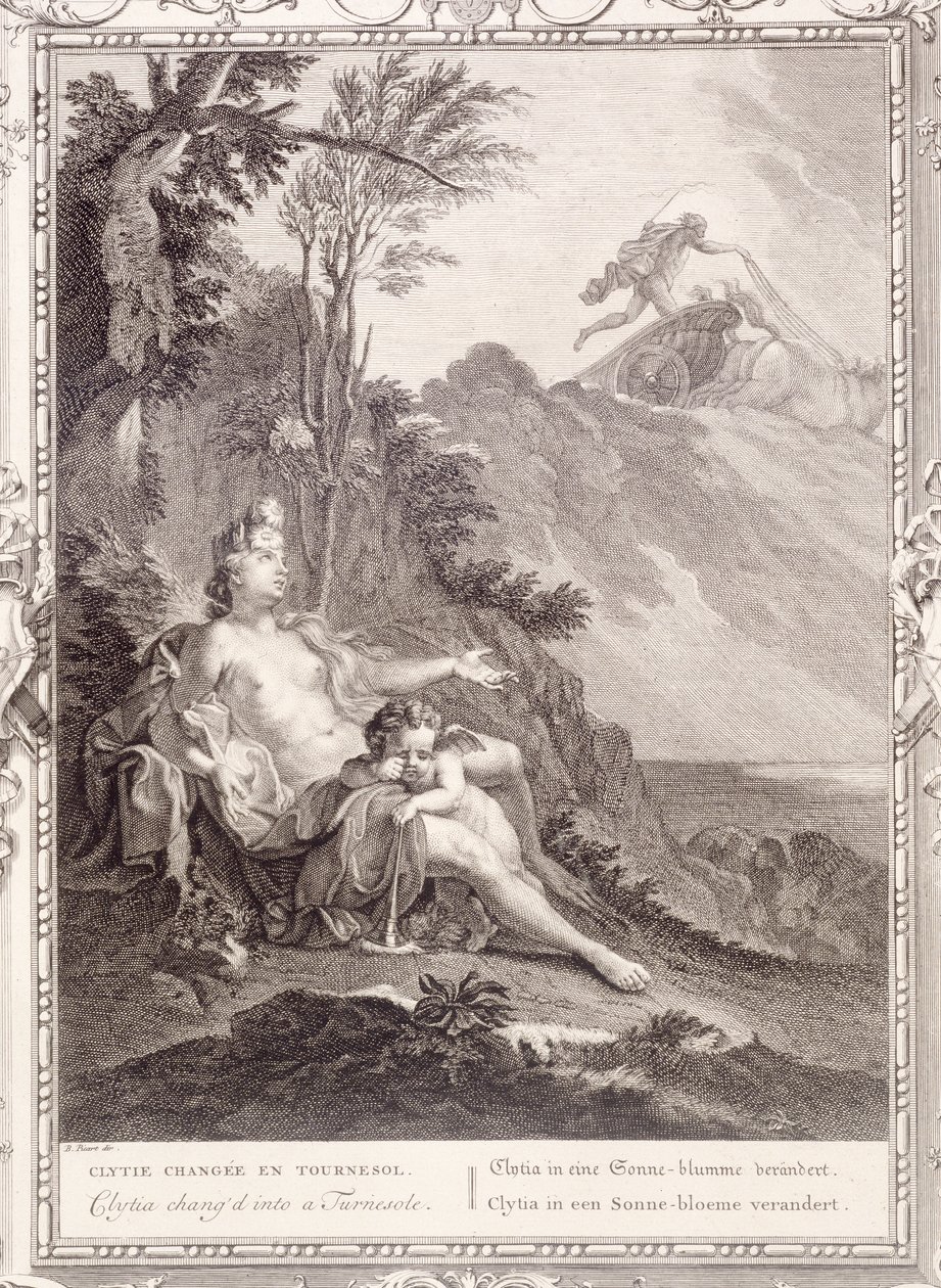 Clytia forvandlet til en drejesål, 1731 af Bernard Picart