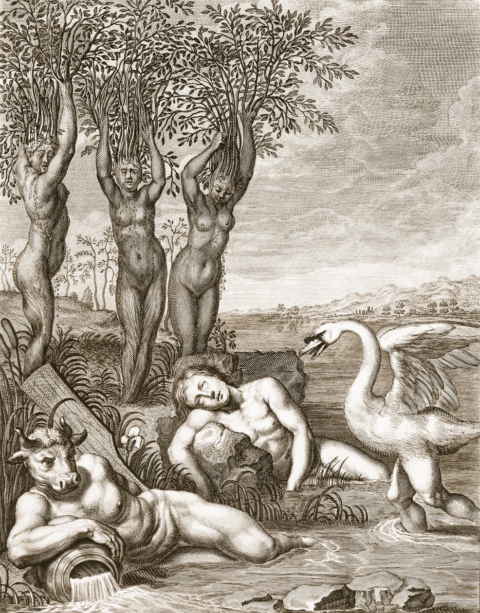Cygnus forvandlet til en svane og Phaetons søstre til popper, 1731 af Bernard Picart