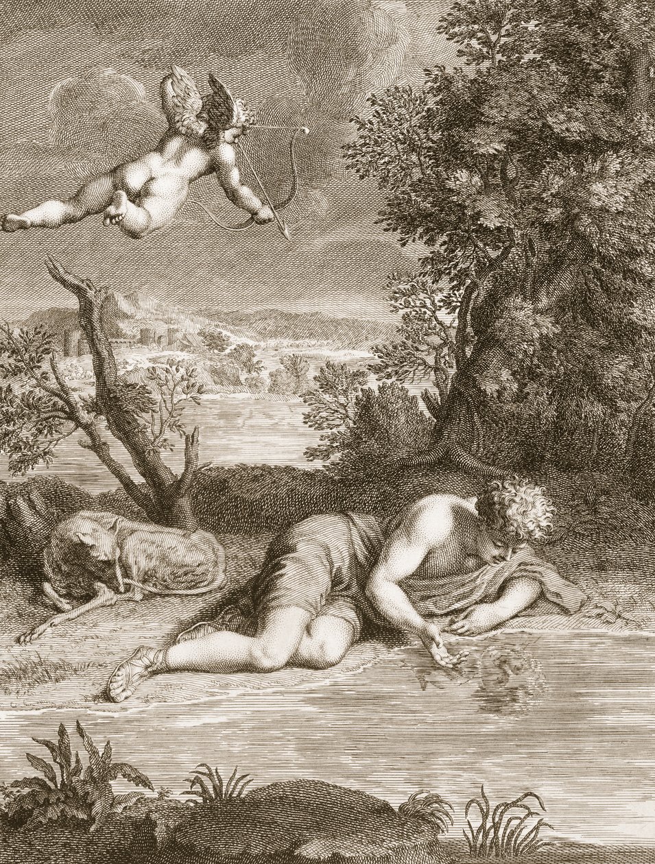 Narcissus forvandlet til en blomst, 1730 af Bernard Picart