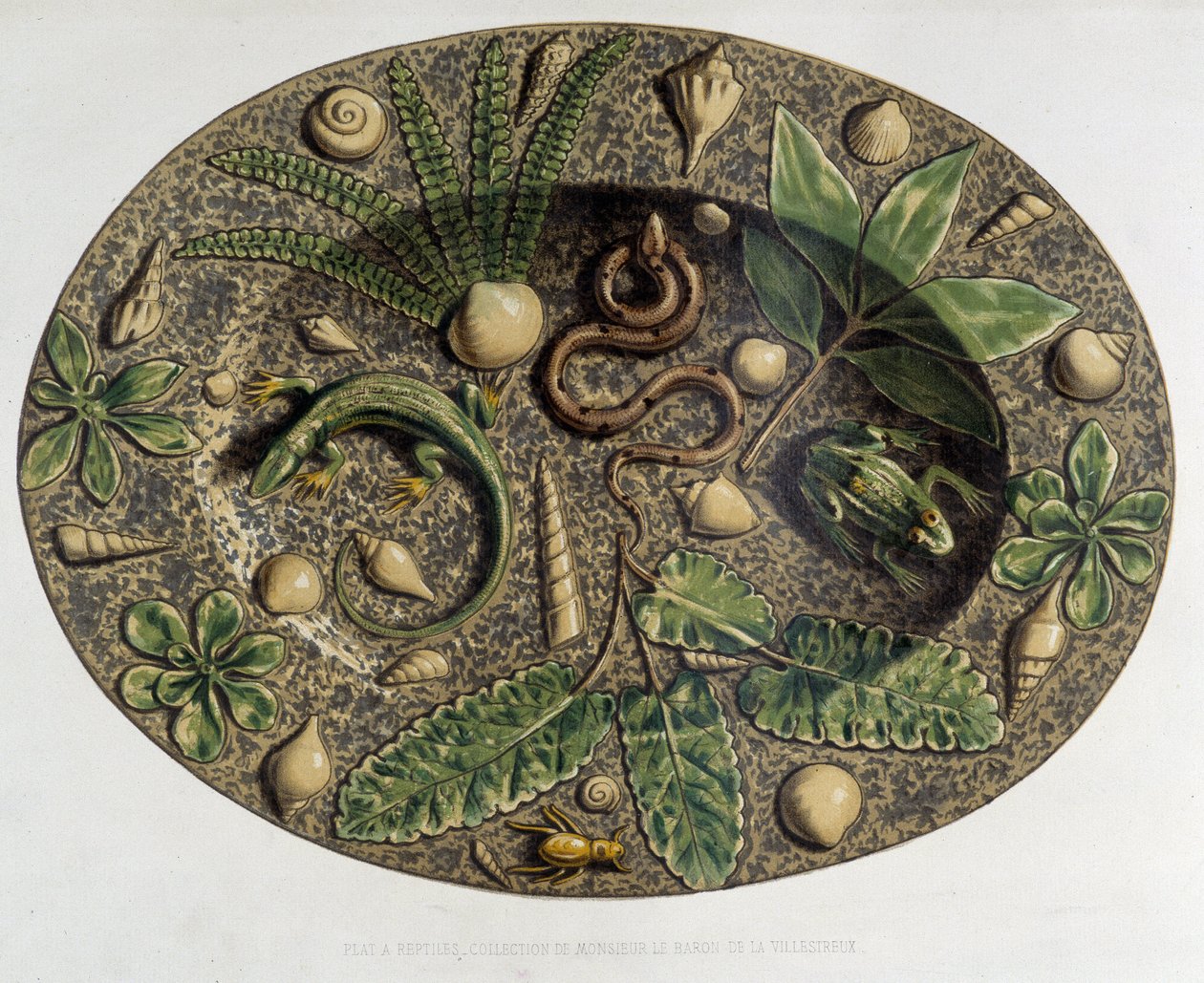 Plate à reptiles - Plate céramique, i "" The work of Bernard Palissy"" af C. Delange og C. Borneman, Paris af Bernard (after) Palissy