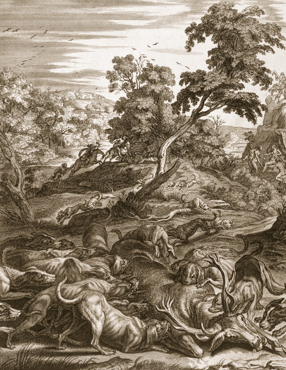 Actaeon forvandlet til en kronhjort og fortæret af sine hunde, 1731 af Bernard Picart