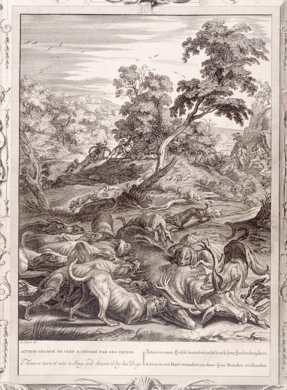 Actaeon forvandlet til en kronhjort og fortæret af sine hunde, 1731 af Bernard Picart