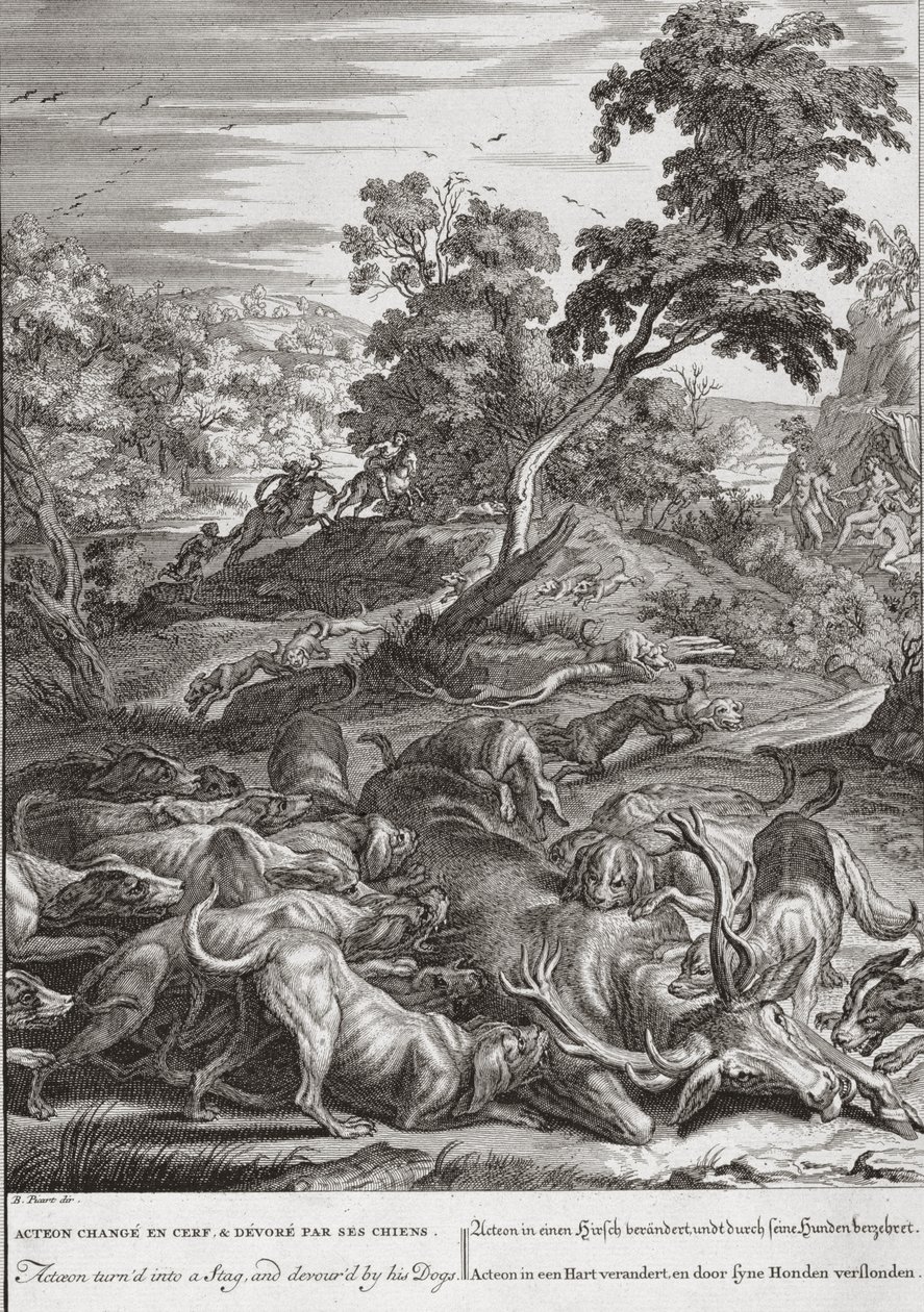 Actaeon blev til en kronhjort og fortæret af sine hunde, 1731 af Bernard Picart
