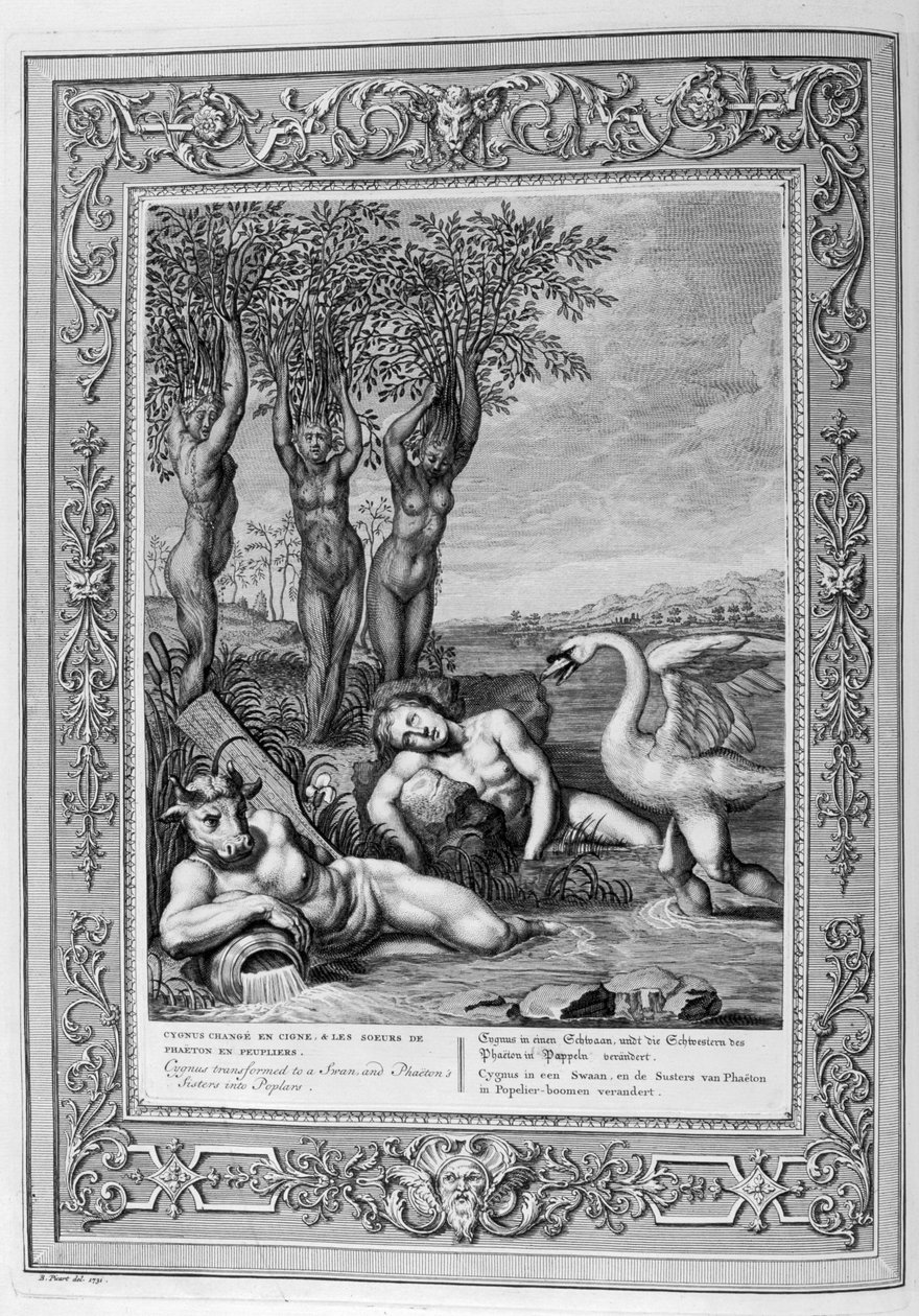 Cygnus forvandlet til en svane (gravering) af Bernard Picart