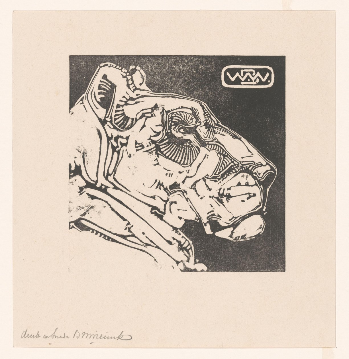 Hovedet af en løvinde Lioness (original titel) af Bernard Willem Wierink (signed by artist)