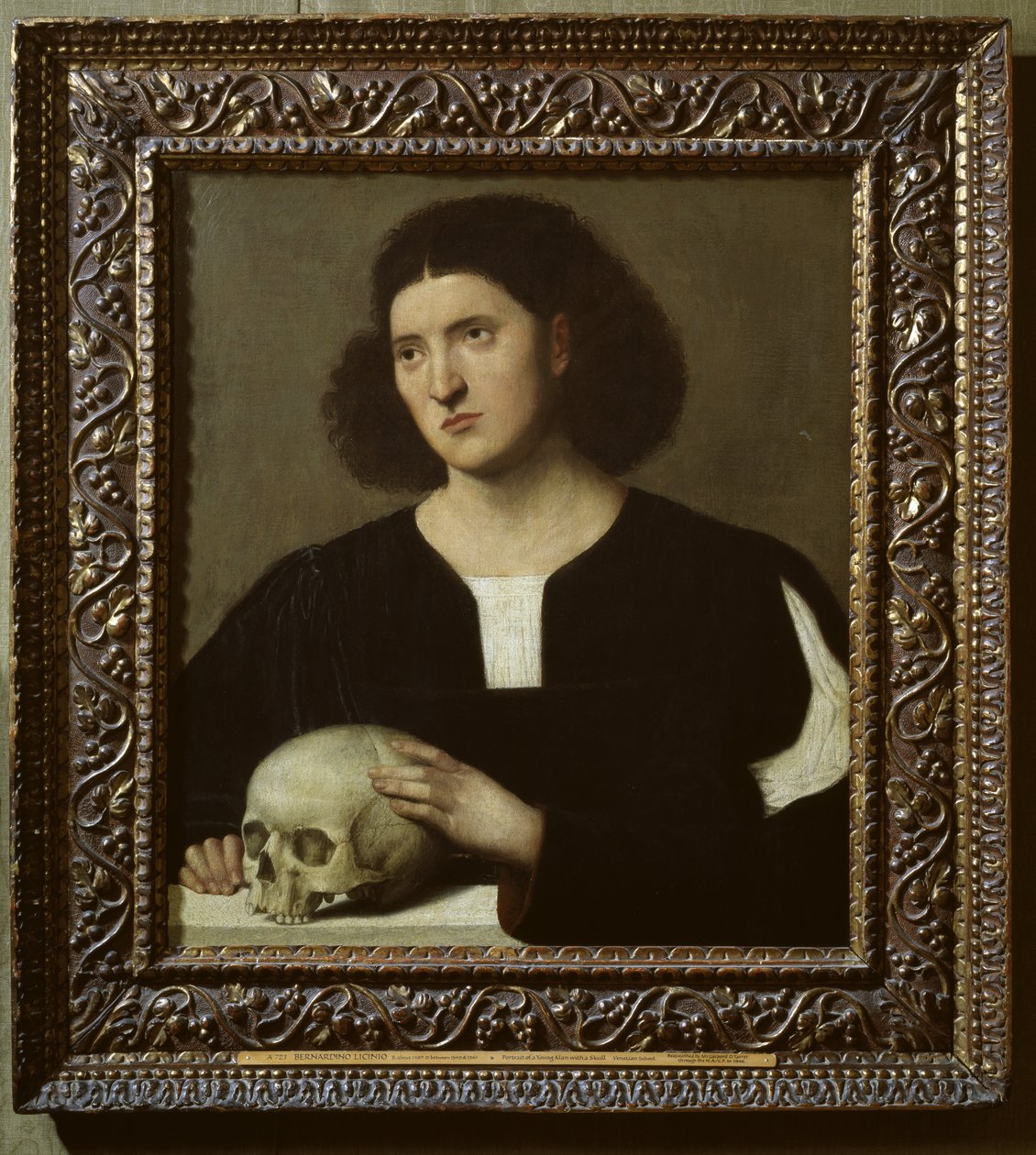 Portræt af en ung mand med en kranie, olie på lærred fra 1600-tallet) af Bernardino Licinio