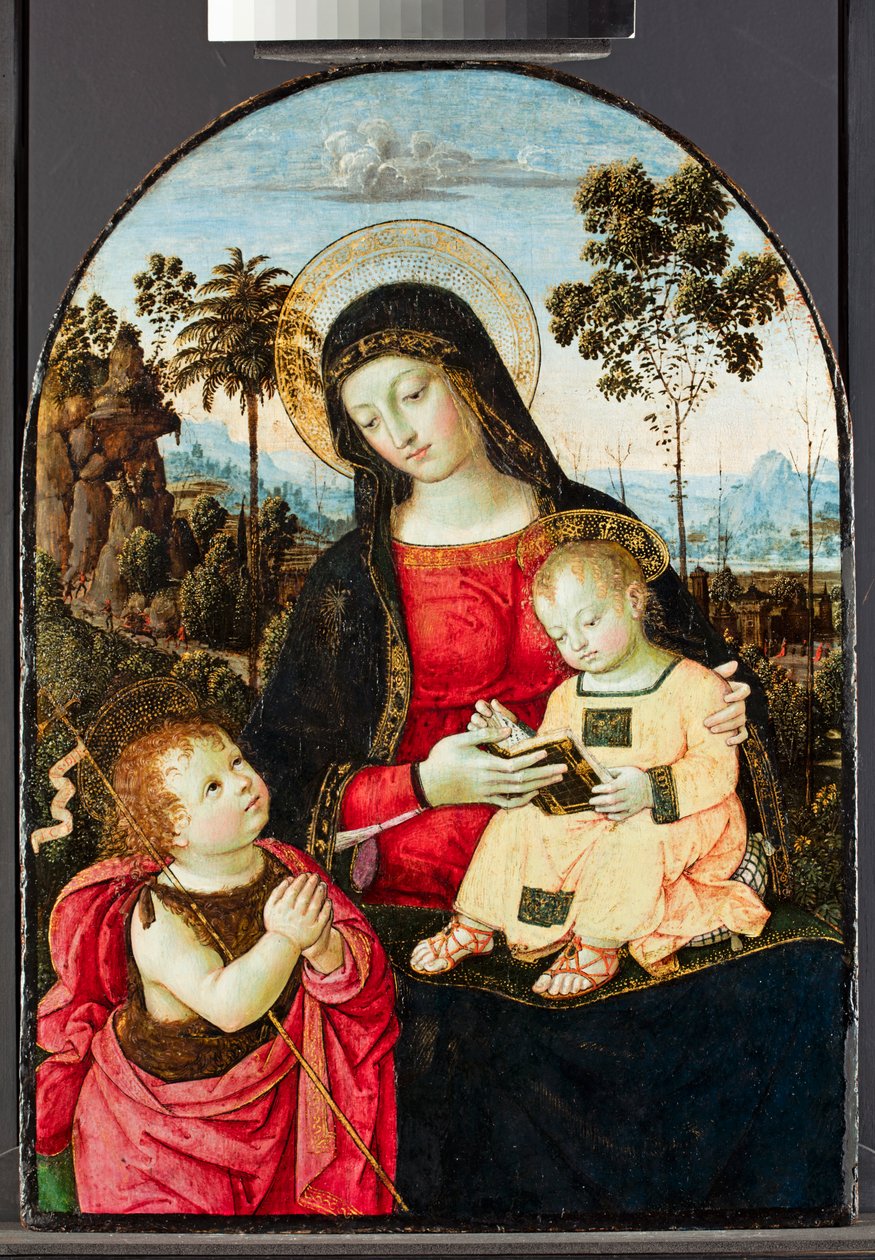 Jomfru og barn med St. Johannes Døberen, 1490-95 (tempera med olie og glasurer og guld på panel) af Bernardino di Betto Pinturicchio