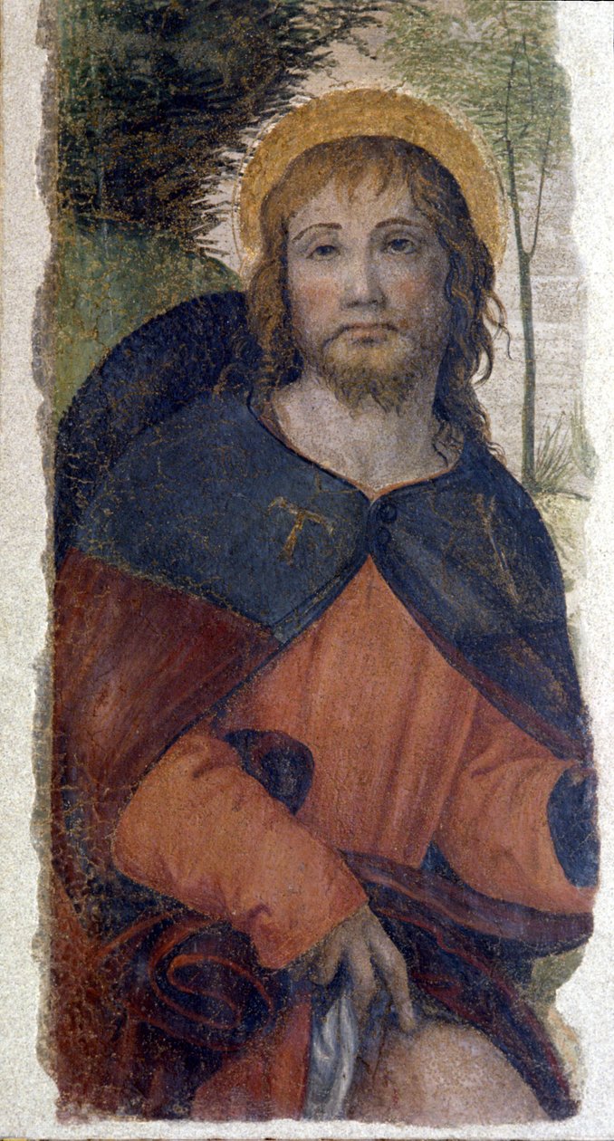 Repræsentation af Saint Rocco (Roch). Fresko af Bernardino de Scapis skole kendt som Bernardino Luini (1485-1532). 16. århundrede af Bernardino (school of) Luini