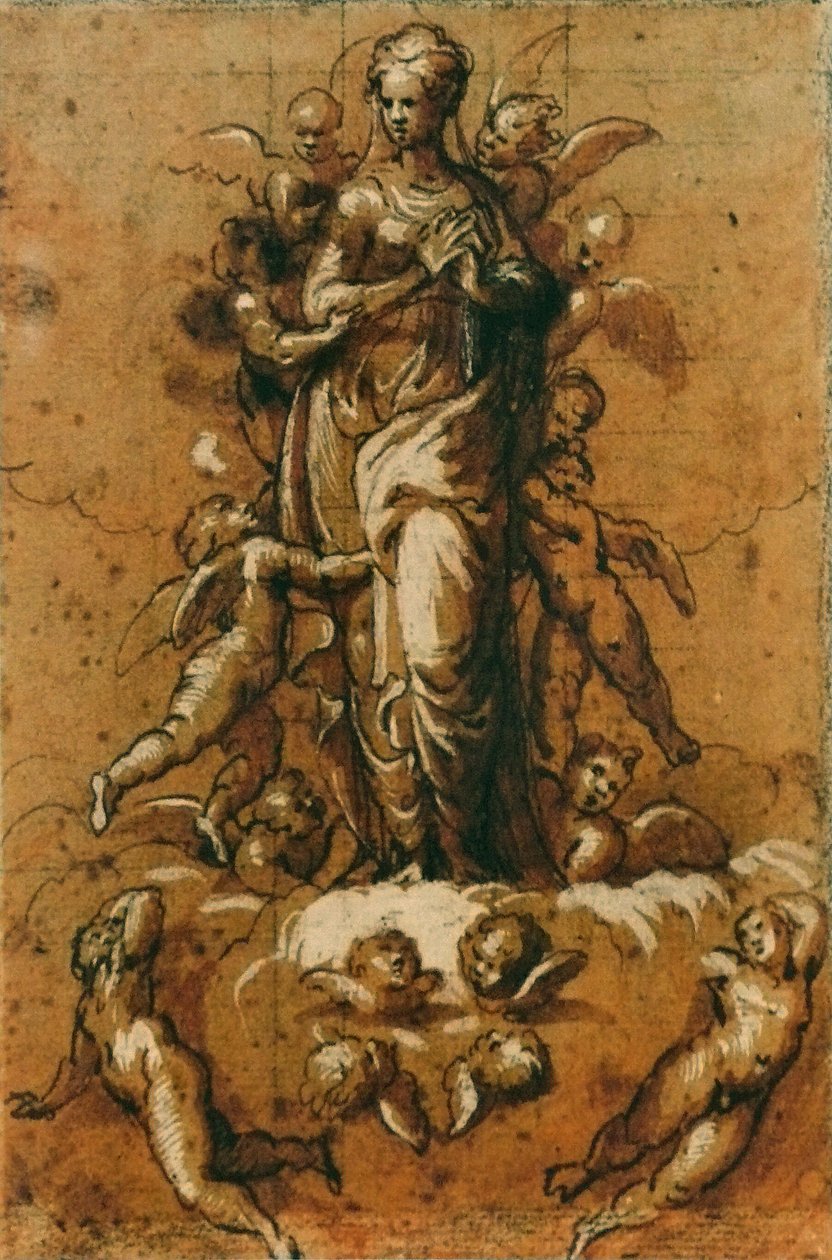 Den ubesmittede undfangelse af Bernardino Campi