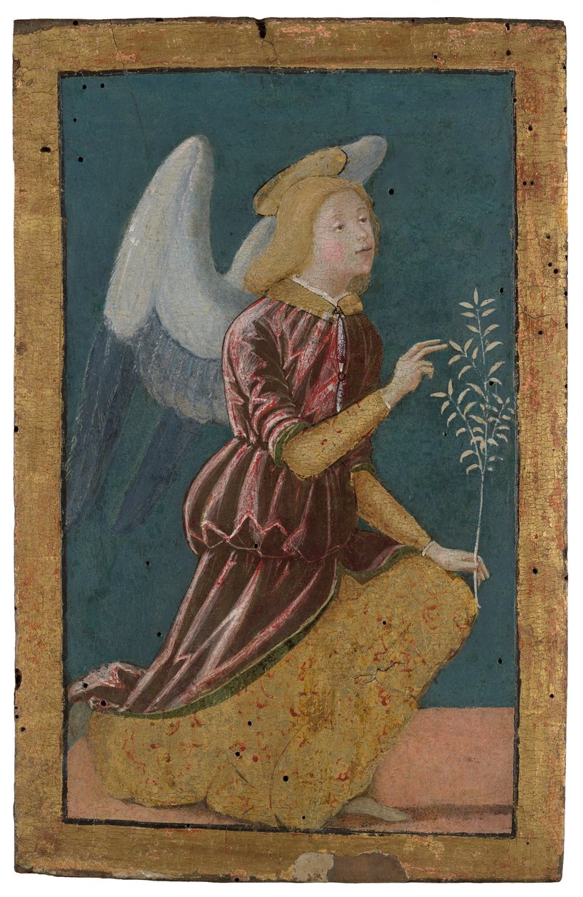 Bebudelsesengel af Bernardino Fungai