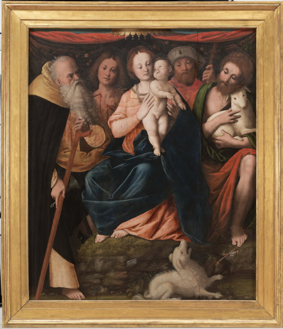 Madonna og barn med de hellige Anthony Abbed, Sebastian, Rocco og Johannes Døberen, 1534 af Bernardino Lanino