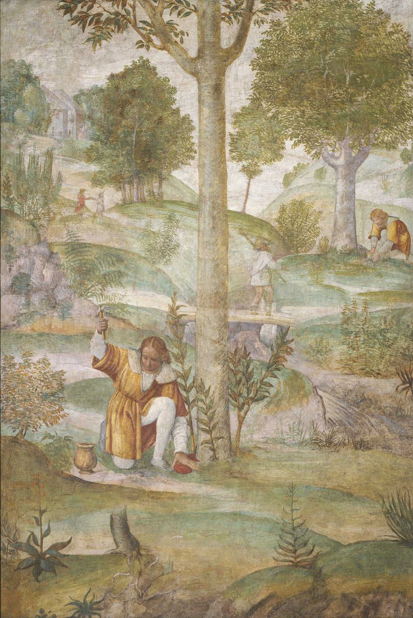 Cephalus skjuler juvelerne af Bernardino Luini