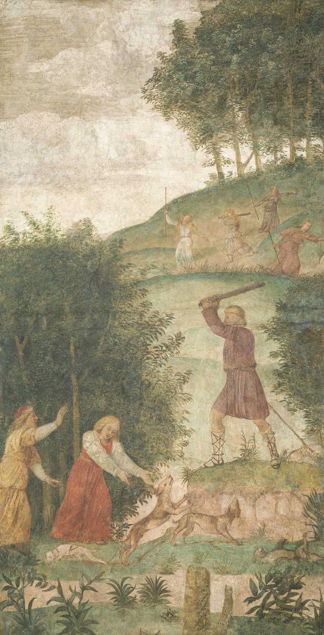 Cephalus straffet ved jagten af Bernardino Luini