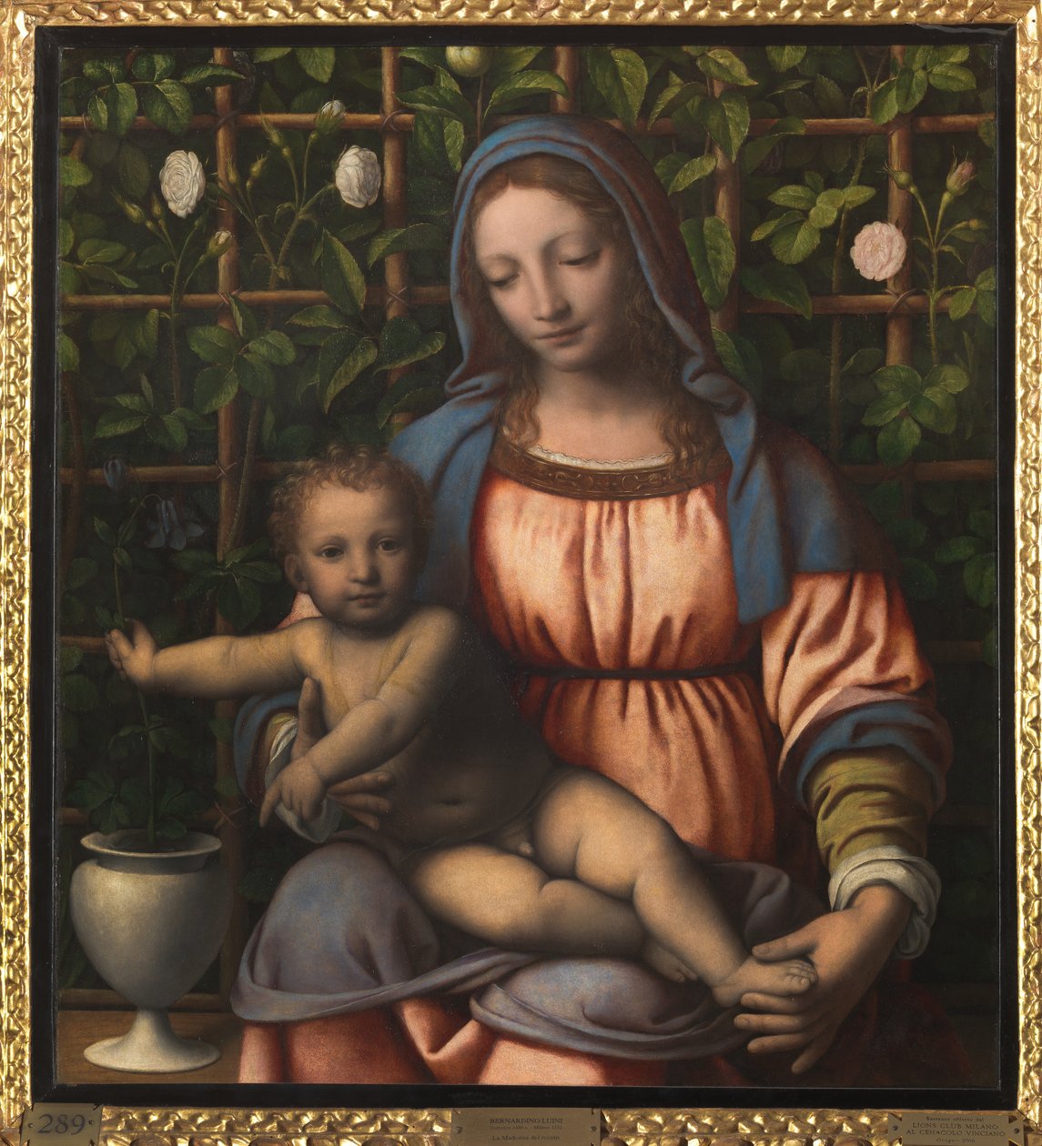 Madonna og barn (Madonna del Roseto) af Bernardino Luini